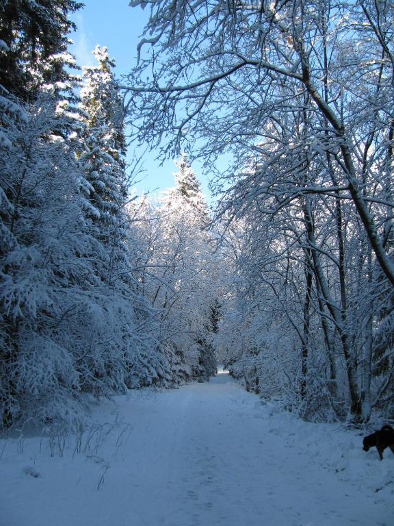 Hotel Kilian Braunlage Kültér fotó